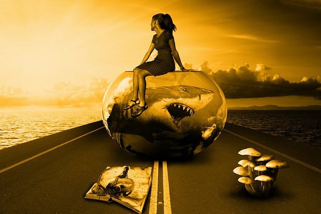 surrealism art ideas image 2 - woman sitting on bowl with shark reflected - road with mushrooms - clouds in background
